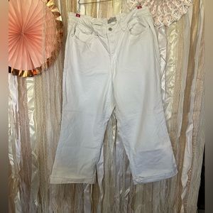 #12 Judy Blue 16w Wide Leg Capri Like New SUPER CUTE!